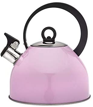 10 Best Stove Top Kettles For Gas Hobs - Fork & Spoon Kitchen